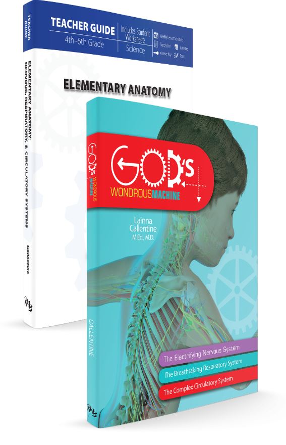Elementary Anatomy Set (God's Wondrous Machine)