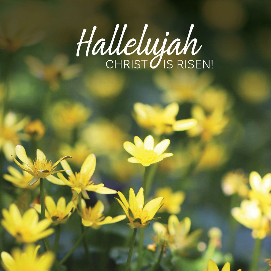 Hallelujah Flowers Easter Cards (Pack of 5) - Re-vived