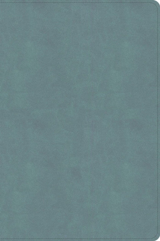 CSB Giant Print Single-Column Bible, Earthen Teal - Re-vived
