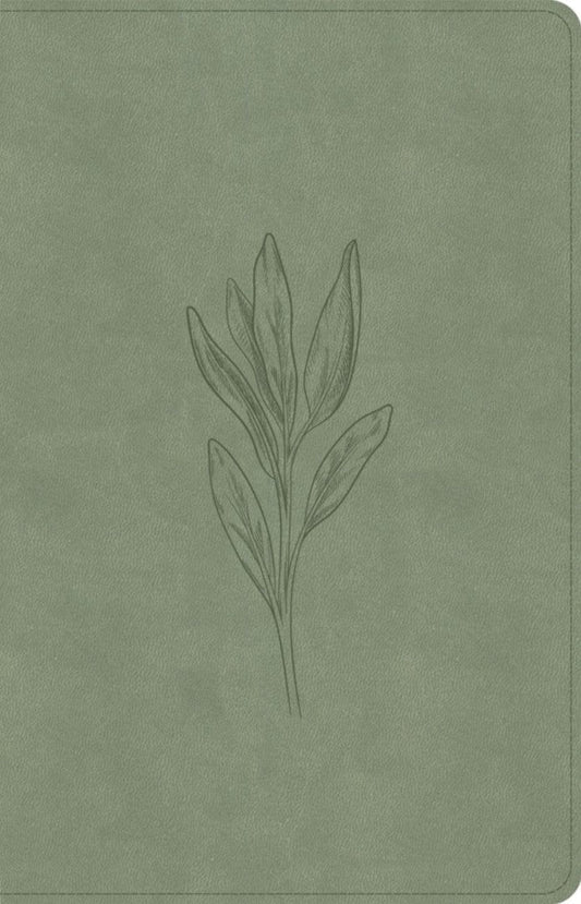 CSB Thinline Bible, Digital Study Edition, Sage - Re-vived