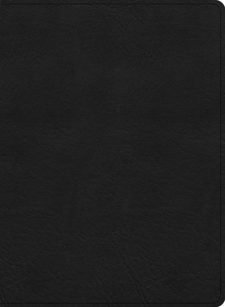 KJV Study Bible, Large Print Edition, Black Leathertouch - Re-vived