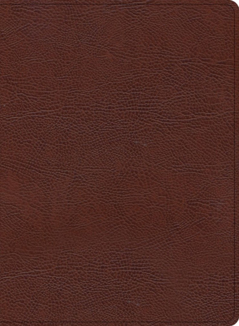 KJV Study Bible, Large Print Edition, Brown Bonded Leather - Re-vived