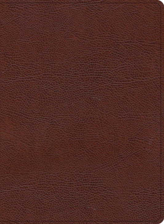 KJV Study Bible, Large Print Edition, Brown Bonded Leather - Re-vived
