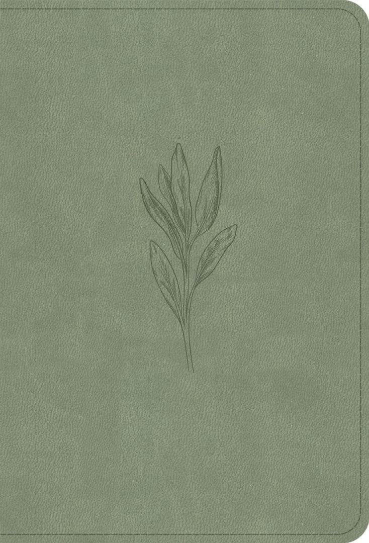 NASB Large Print Compact Reference Bible, Sage - Re-vived
