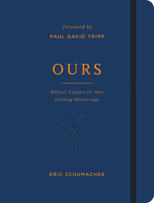 Ours - Re-vived