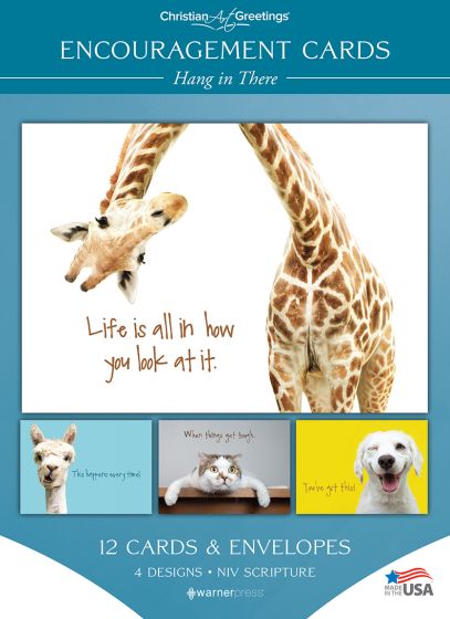 Boxed Cards - Encouragement - Hang In There (Box of 12) - Re-vived