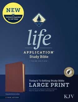 KJV Life Application Study Bible, Third Edition, Large Print - Re-vived