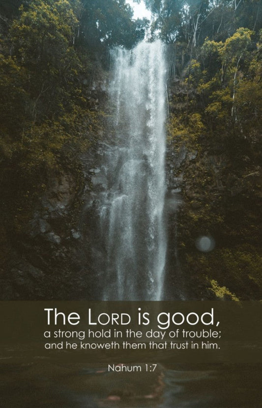 General Worship Bulletin: Lord is Good (Package of 100) - Re-vived