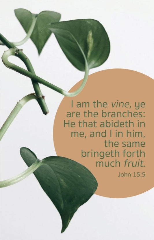 General Worship Bulletin: Much Fruit (Package Of 100) - Re-vived