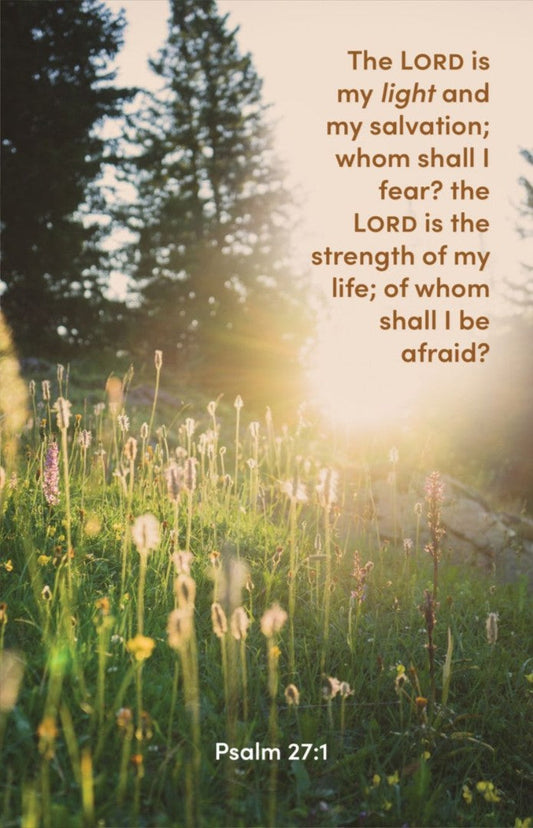 The Lord is My Light Bulletin (Package of 100) - Re-vived