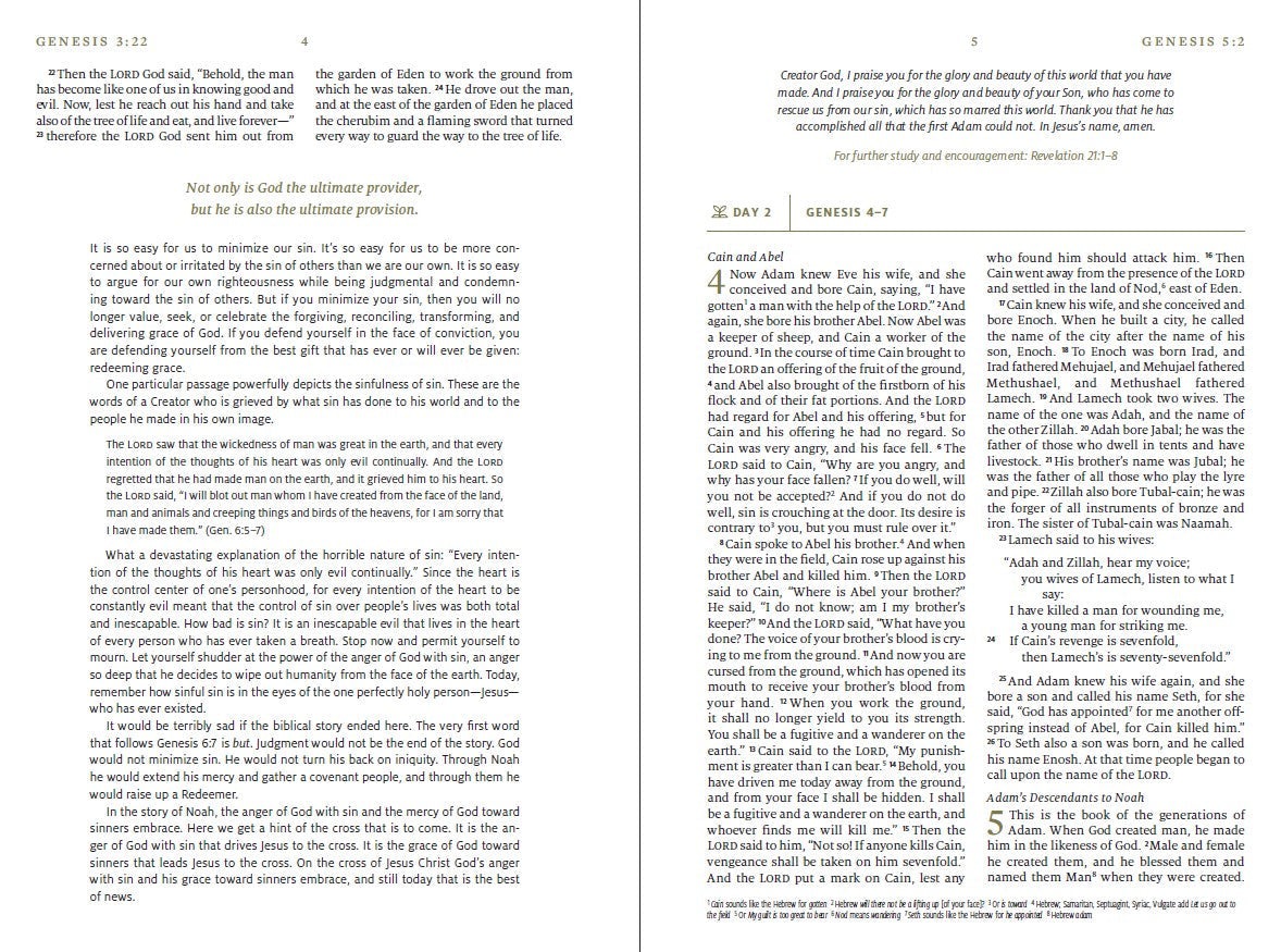 ESV Everyday Gospel Bible - Re-vived