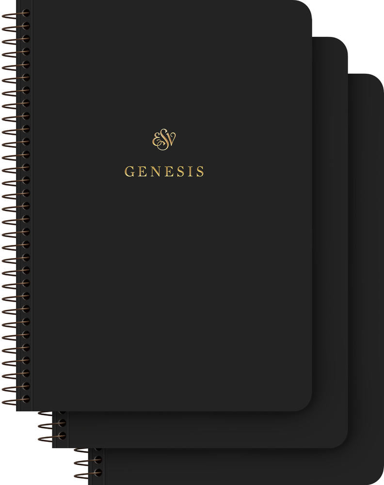 ESV Scripture Journal - Old Testament Set - Re-vived