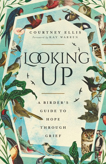 Looking Up - Re-vived