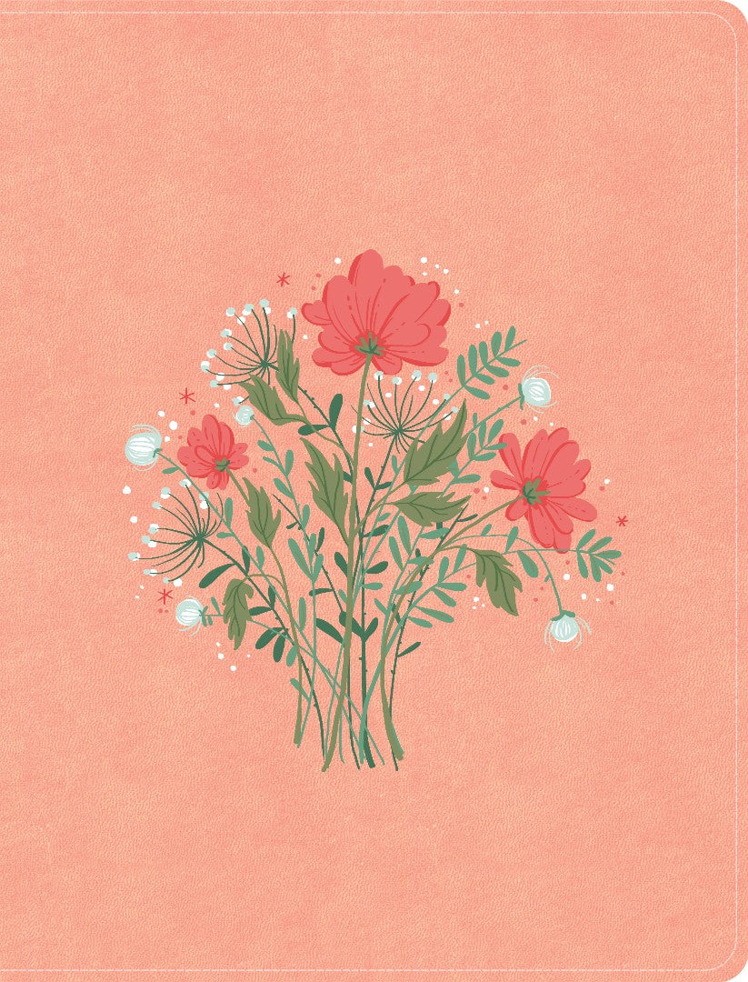 CSB Illustrator’s Notetaking Bible, Large Print Edition - Re-vived