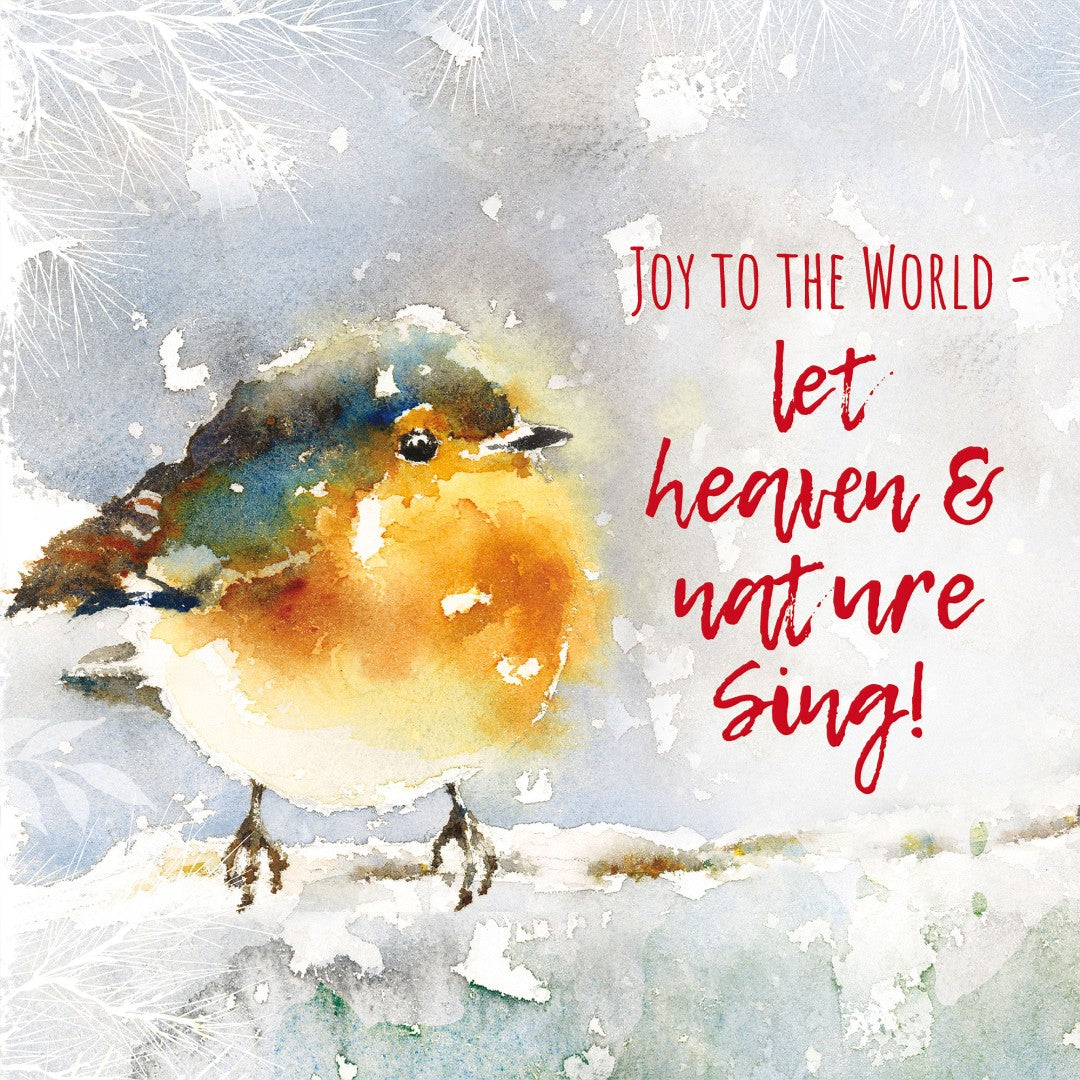 Joyful Robin Christmas Cards - Pack Of 10 - Re-vived