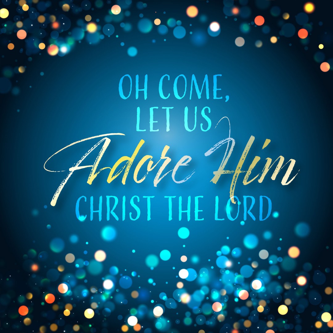 Adore Him Christmas Cards - Pack Of 10 - Re-vived