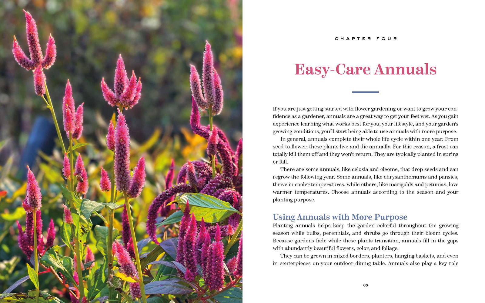 The Bricks 'n Blooms Beautiful and Easy-Care Flower Garden - Re-vived