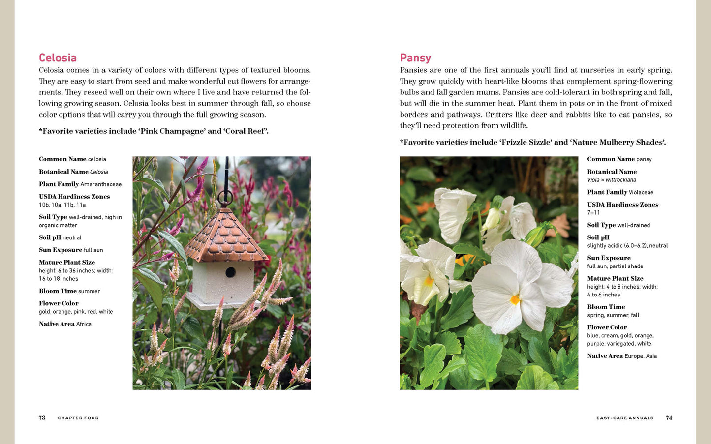 The Bricks 'n Blooms Beautiful and Easy-Care Flower Garden - Re-vived