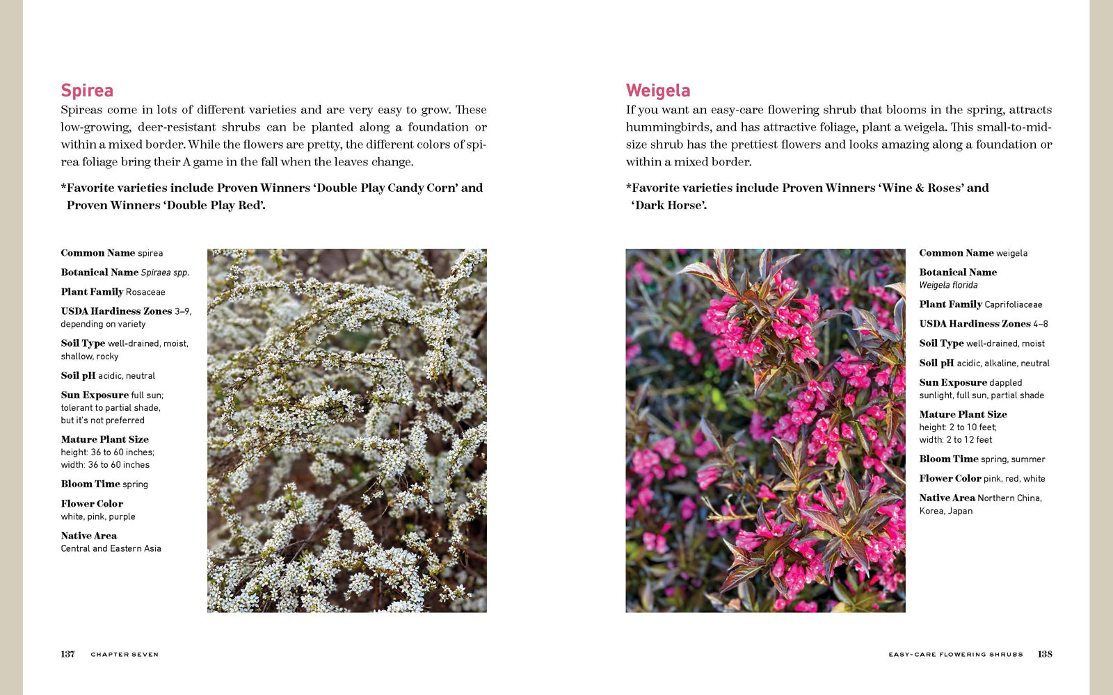 The Bricks 'n Blooms Beautiful and Easy-Care Flower Garden - Re-vived