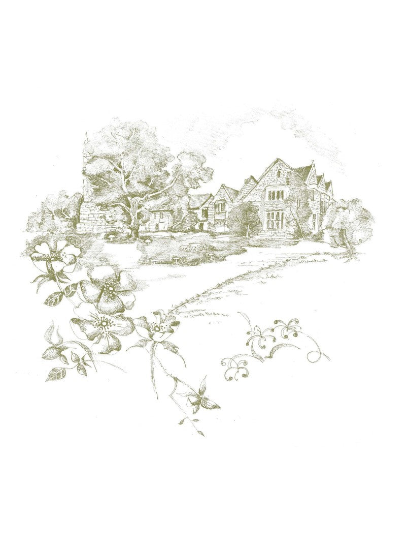 Meeting God in Quiet Places - Re-vived
