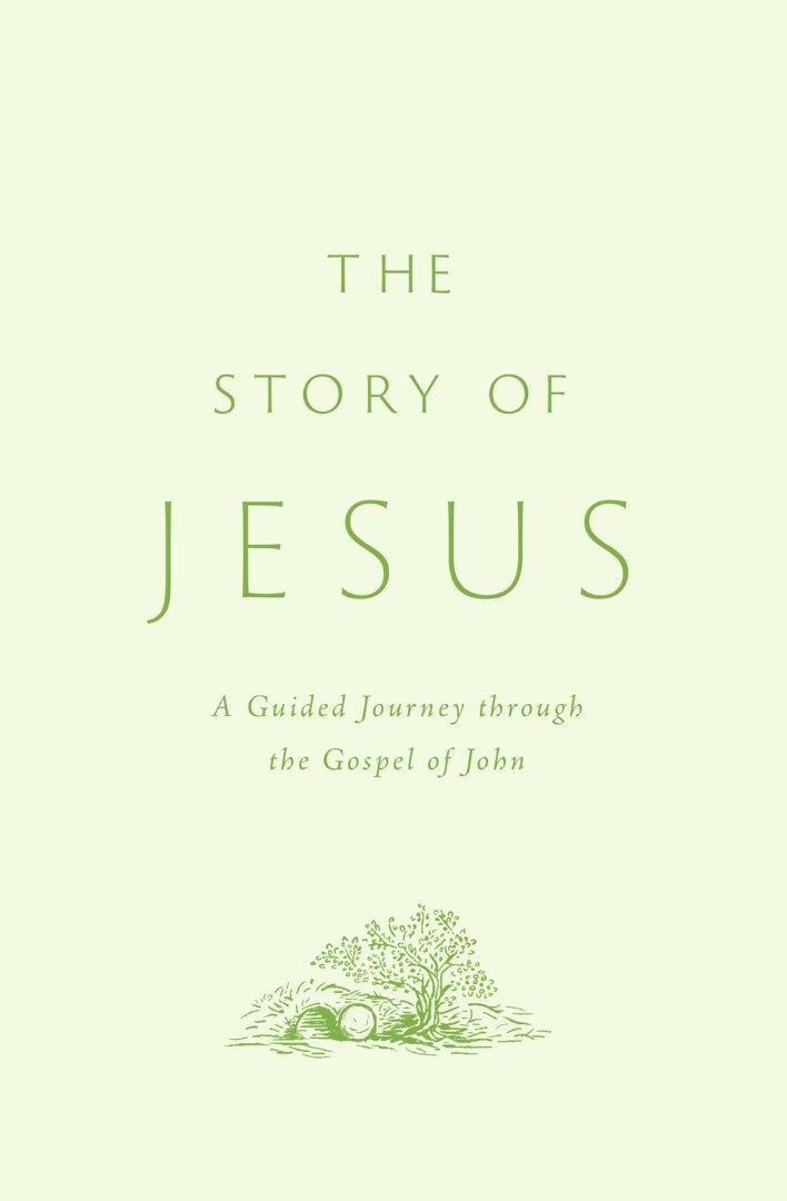 The Story of Jesus - Re-vived