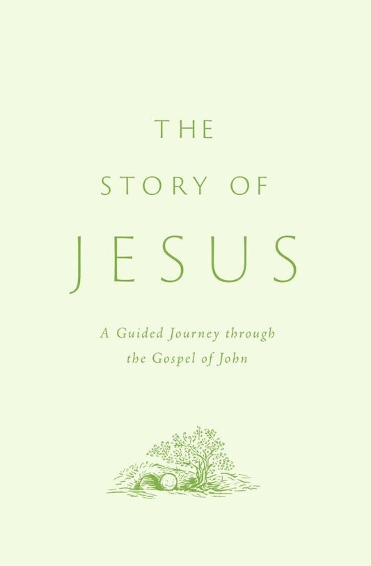 The Story of Jesus - Re-vived