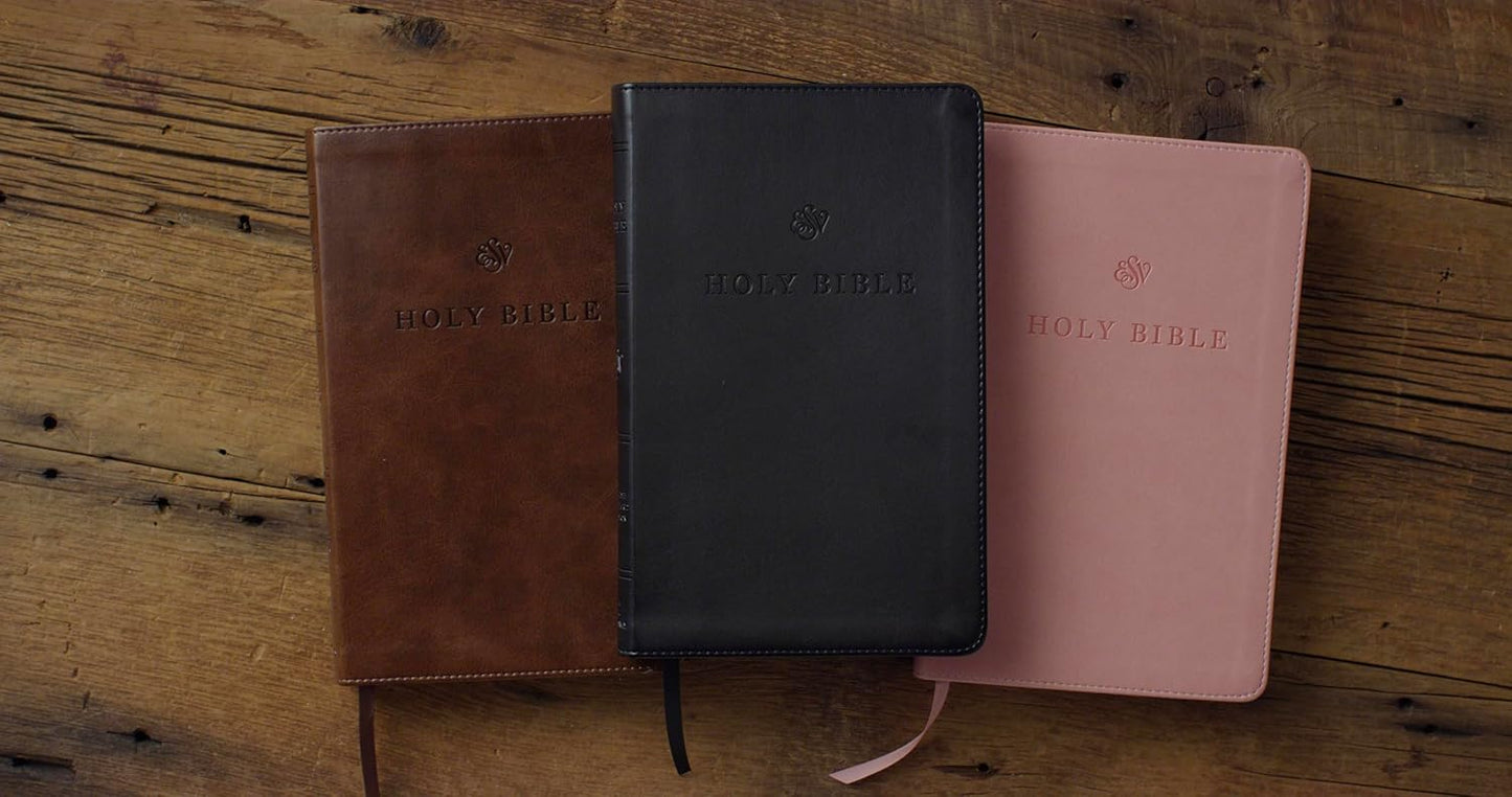 ESV Premium Church Bible, Black - Re-vived