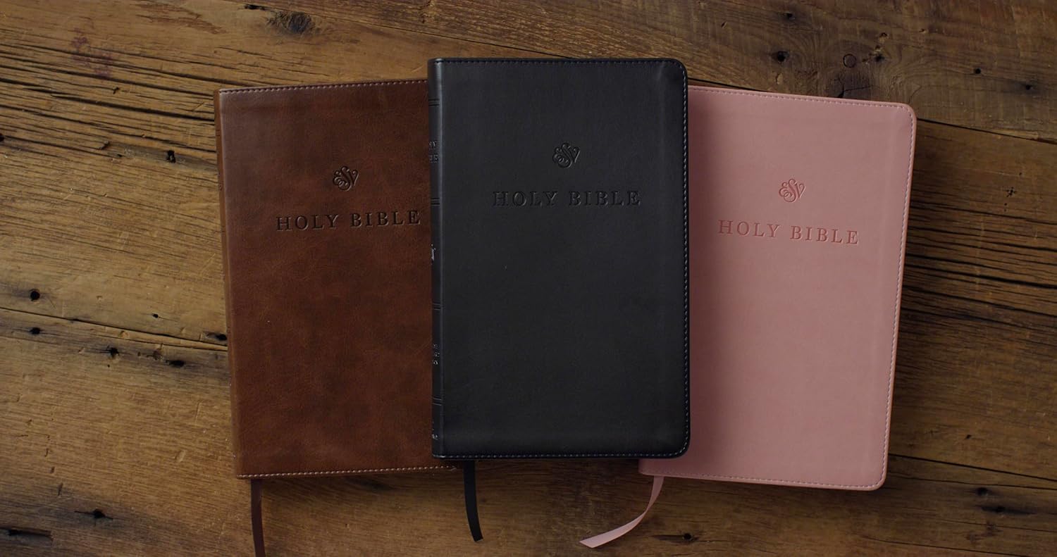 ESV Premium Church Bible, Black - Re-vived