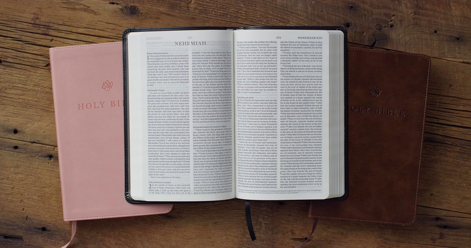 ESV Premium Church Bible, Black - Re-vived