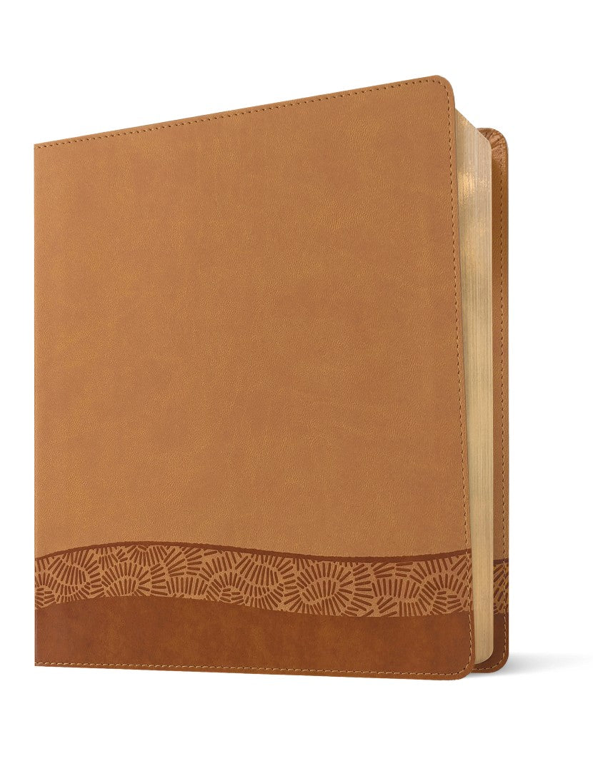 NLT Dayspring Daily Devotional Bible for Moms - Re-vived