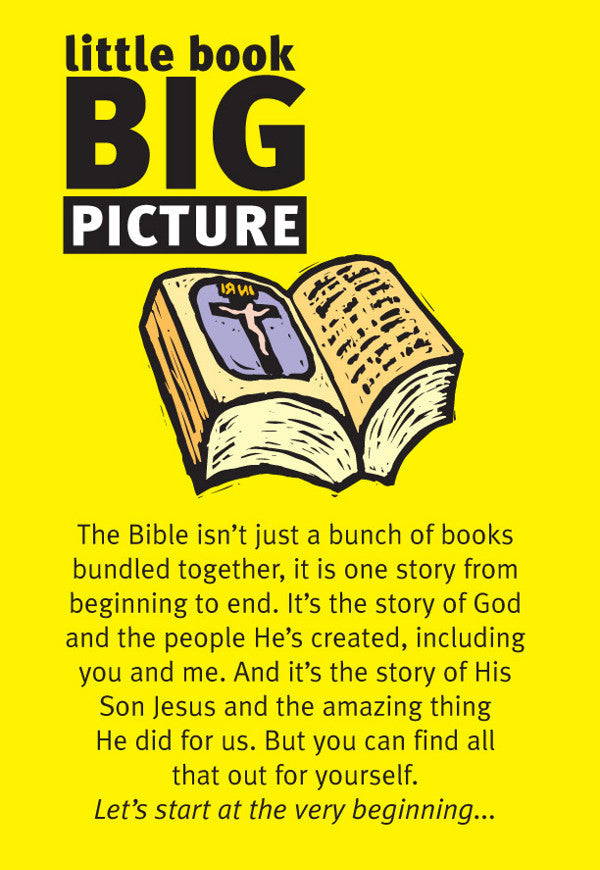 Little Book: Big Picture - Re-vived