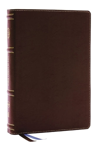 Life in Christ Bible - Re-vived