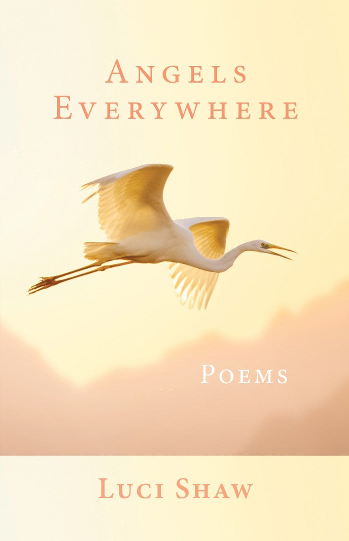 Angels Everywhere - Re-vived