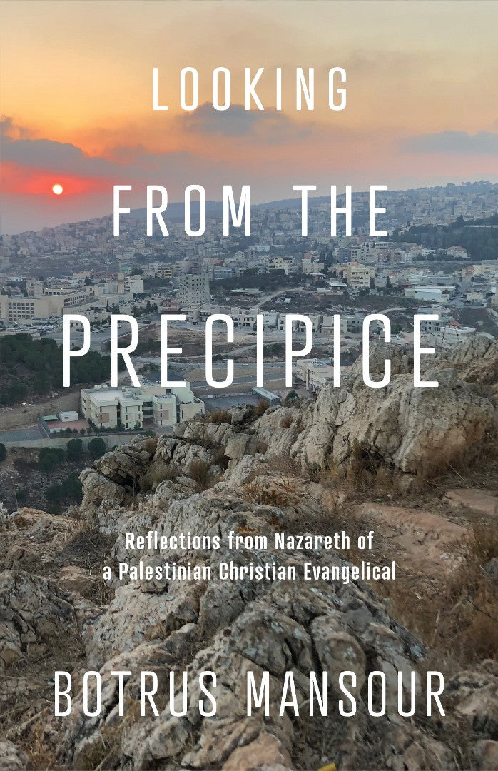 Looking from the Precipice - Re-vived