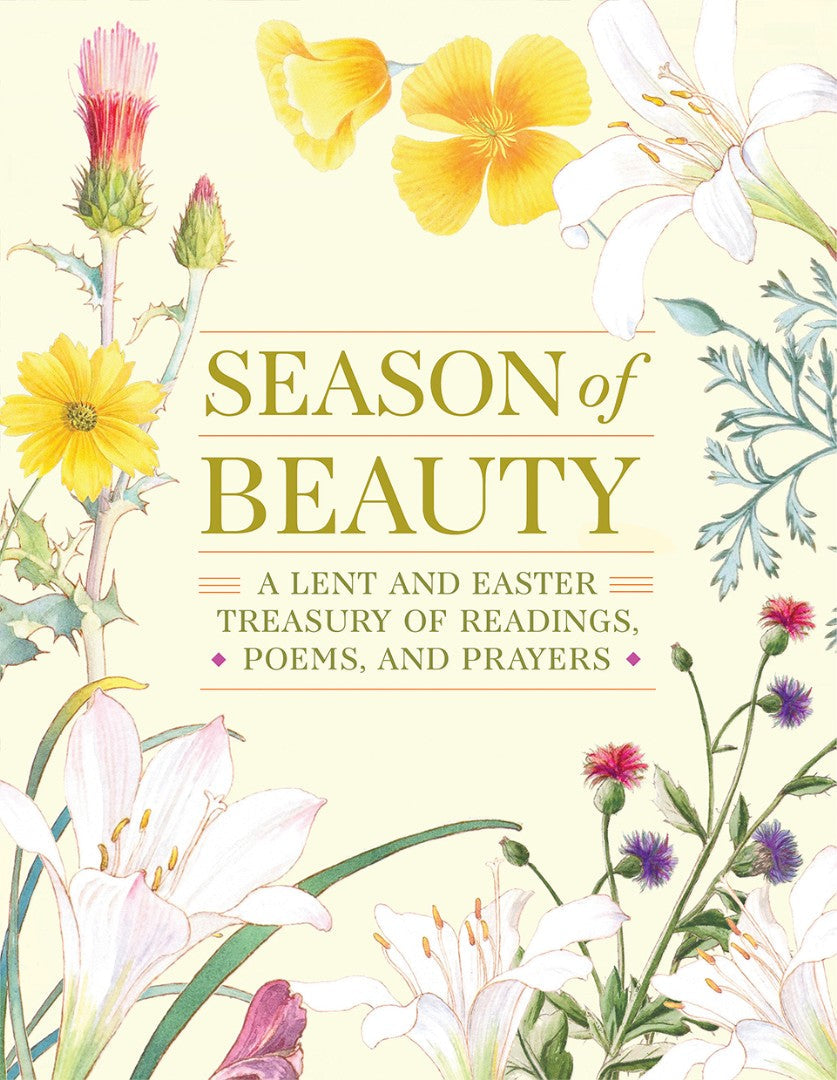 Season of Beauty - Re-vived