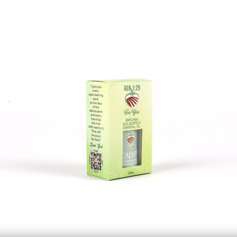 Pure Essential Oil - Eucalyptus 10ml - Re-vived