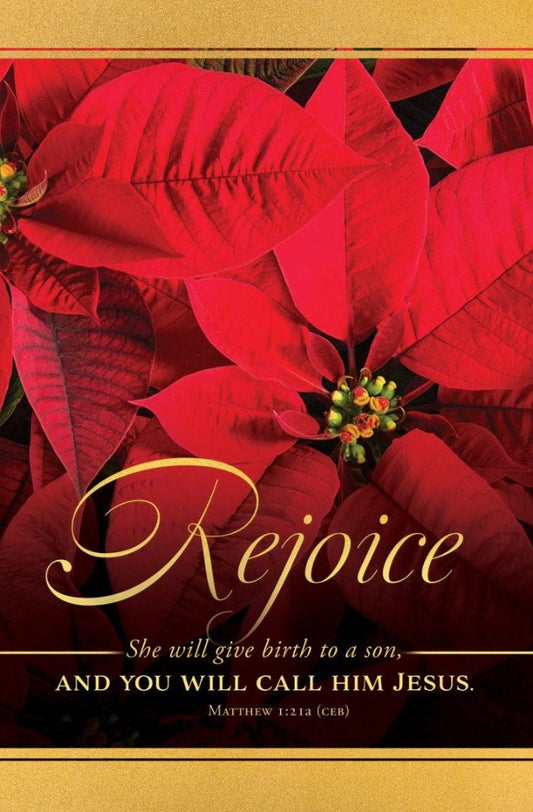 Christmas Rejoice Matthew 1:21 Bulletin (pack of 100) - Re-vived