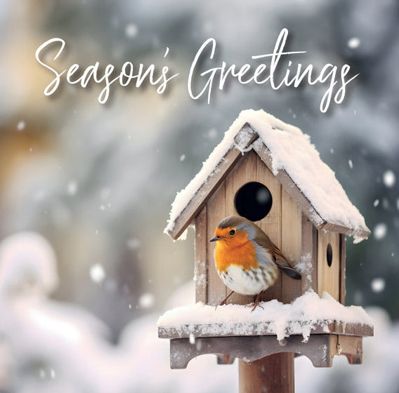 Christmas Boxed Cards: Robin/Birdbox (Pack Of 16) - Re-vived