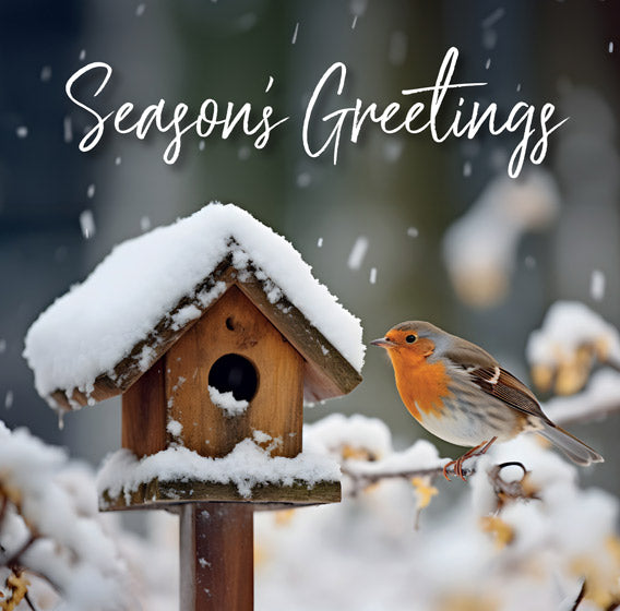 Christmas Boxed Cards: Robin/Birdbox (Pack Of 16) - Re-vived