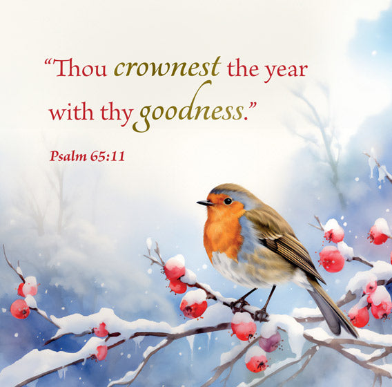 Christmas Boxed Cards: Winter Birds (Pack Of 16) - Re-vived