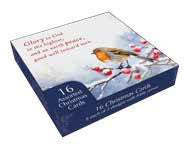 Christmas Boxed Cards: Winter Birds (Pack Of 16) - Re-vived