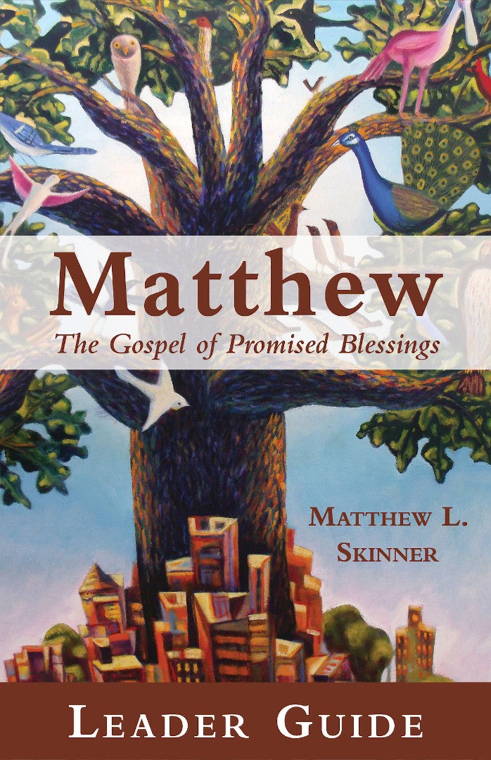 Matthew Leader Guide - Re-vived
