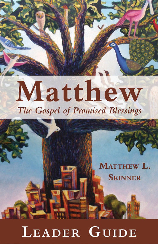 Matthew Leader Guide - Re-vived
