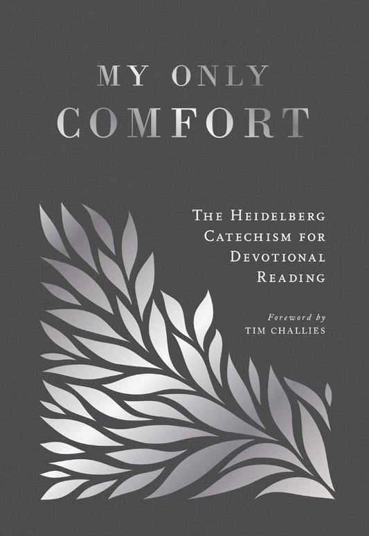 My Only Comfort - Re-vived