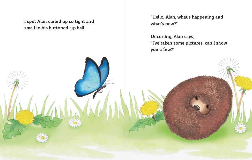 Bella Finds Grace - Re-vived