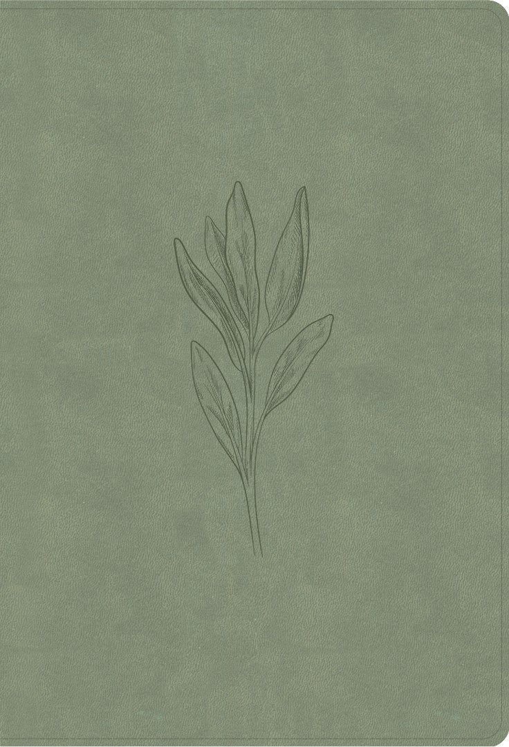 NASB Super Giant Print Reference Bible, Sage Suedesoft - Re-vived