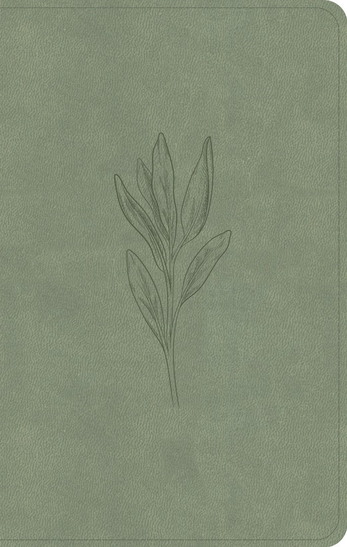 CSB Personal Size Bible, Sage Suedesoft - Re-vived