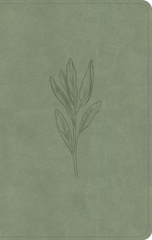 CSB Personal Size Bible, Sage Suedesoft - Re-vived