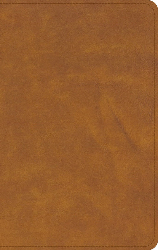 CSB Personal Size Bible, Saddle - Re-vived