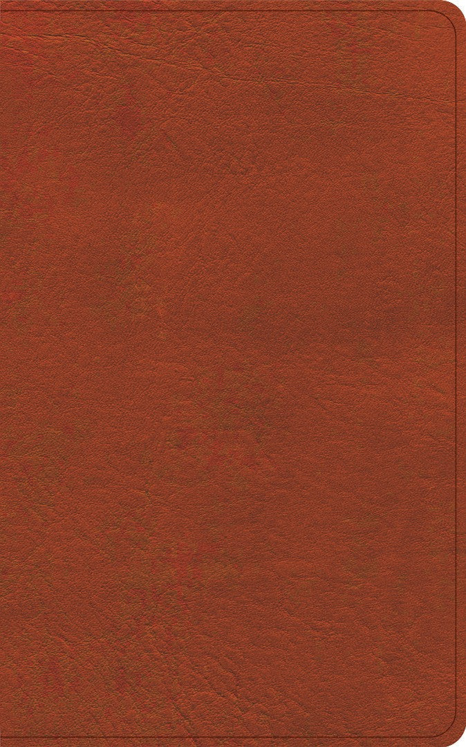 CSB Single-Column Personal Size Reference Bible, Sienna - Re-vived